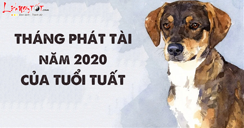 11THANG PHAT TAI 2020 TUOI TUAT