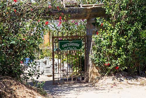 2 homestay dep nhat Da Lat voi cach bo tri nha tran mau xanh hinh anh