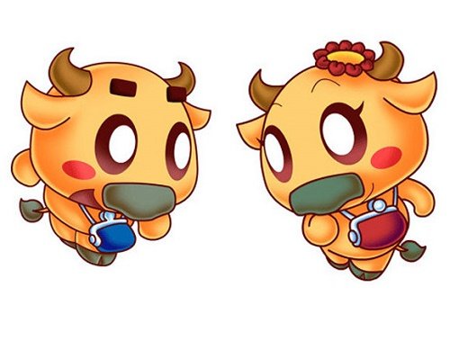 9 dieu yeu yeu cua rieng Kim Nguu hinh anh