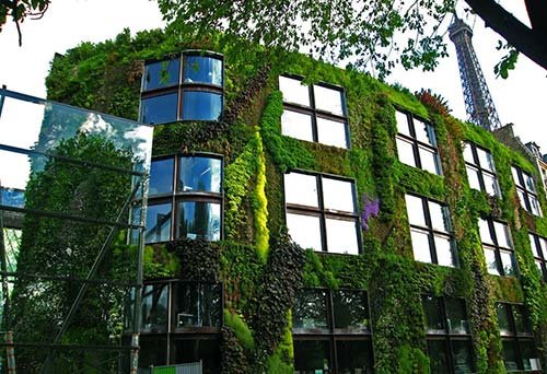 An tuong nhung ngoi nha phu cay xanh tuyet dep hinh anh 4