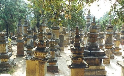 Bi an nhung lang mo co nam sau trong rung tai Trung Quoc hinh anh 2