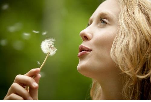 bí quyết để sống hạnh phúc là bỏ qua những lời khuyên này bi quyet de song hanh phuc la bo qua nhung loi khuyen nay