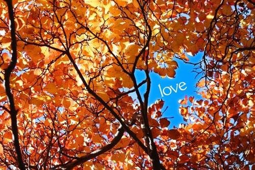 bi quyet tha thinh hay ho bi quyet tha thinh hay ho