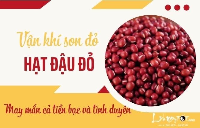 Bo hat dau do vao tui dem giao thua