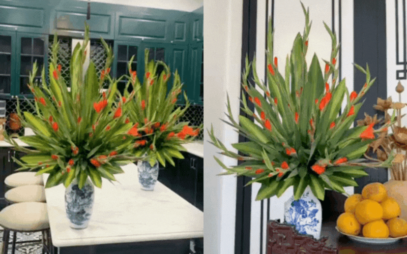 cach cam binh hoa lay on xoe duoi cong bay tet