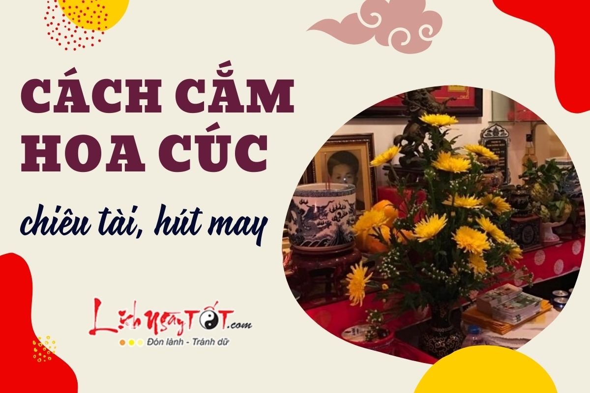 Cach cam hoa cuc thu hut tai loc