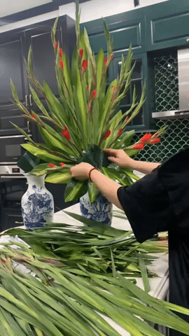 cam hoa lay on xoa duoi cong ngay tet