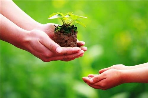 Cau chuyen ngan noi cua Phat 2