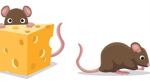 cau chuyen ve giau vat chat