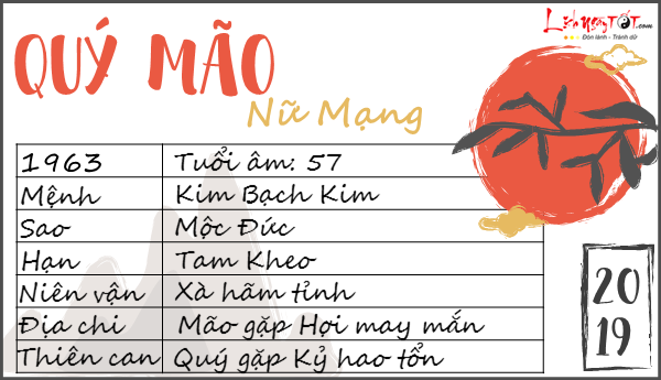 Chi tiet xem boi tu vi nam 2019 tuoi Quy Mao nu mang