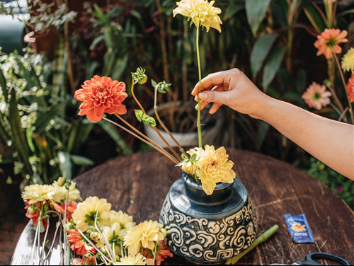 chon mau hoa hop phong thuy