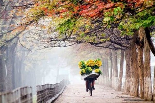 Có phải người lương thiện thường hay chịu thiệt hình ảnh Co phai nguoi luong thien thuong hay chiu thiet hinh anh