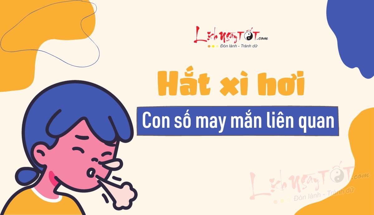 Con so lien quan den boi hat xi hoi