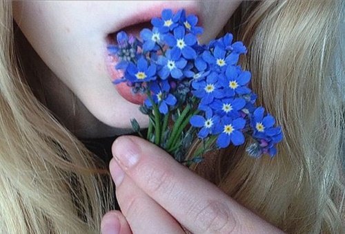 Cong viec chinh cua Song Ngu do la mo