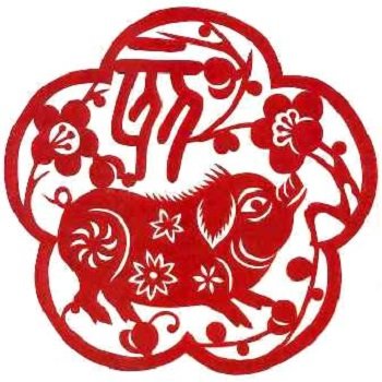 Đặt tên hay cho người tuổi Hợi hình ảnh Dat ten hay cho nguoi tuoi Hoi hinh anh