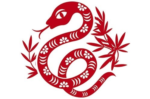 Dat ten hay cho nguoi tuoi Ty hinh anh