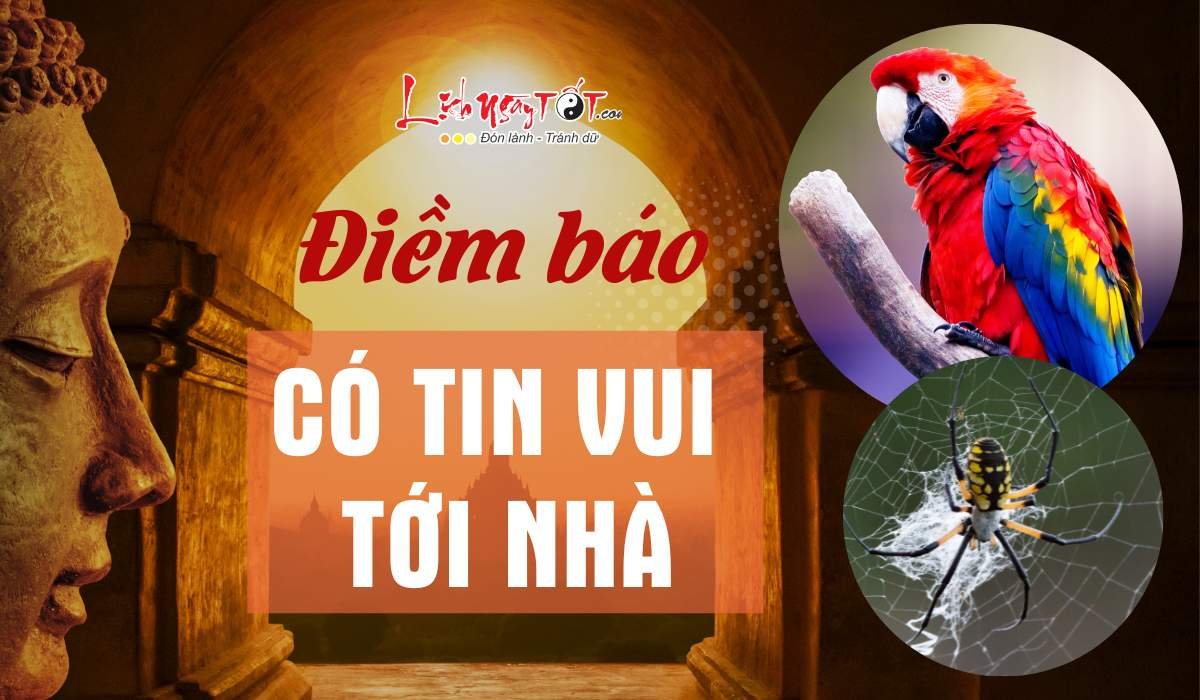 Diem  bao co tin vui den nha ban