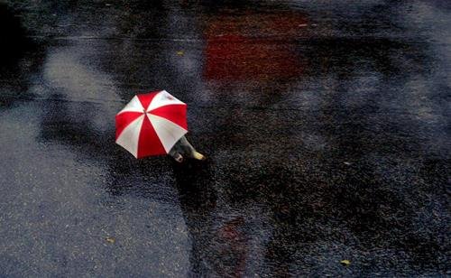 Dự báo thời tiết ngày 16/10/2021