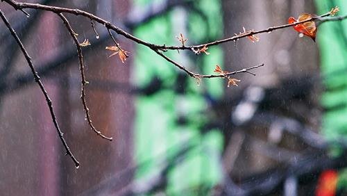 Dự báo thời tiết ngày 26/10/2021