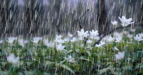 dự báo thời tiết ngày 27.10 Dự báo thời tiết ngày 27/10/2021