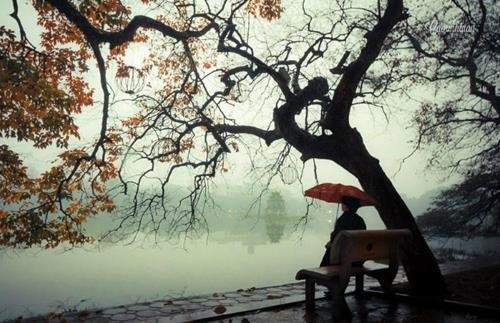 dự báo thời tiết ngày 7 11 2021 Dự báo thời tiết ngày 7/11/2021