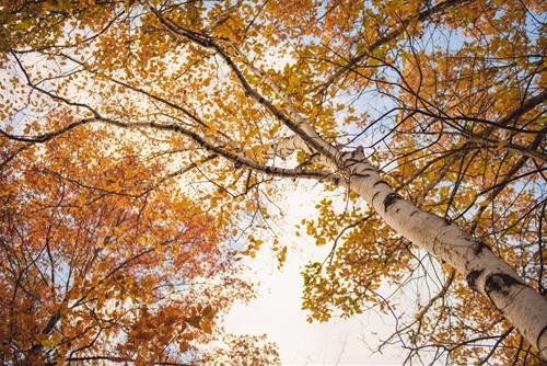 dự báo thời tiết ngày 9.11 Dự báo thời tiết ngày 9/11/2021