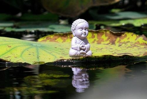 duc phat noi ve duyen gap go