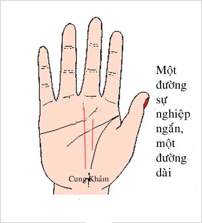 Hai duong su nghiep noi len dieu gi hinh anh 4