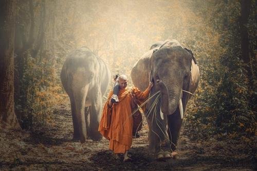 Hãy biết đủ sống thanh đạm an vui Hay biet du song thanh dam an vui