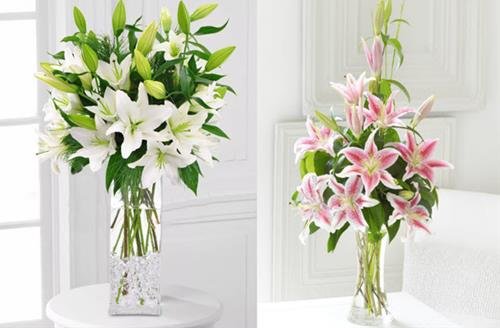 hoa cam ban tho ngay tet canh ty k cam hoa ly hoa cam ban tho ngay tet canh ty k cam hoa ly