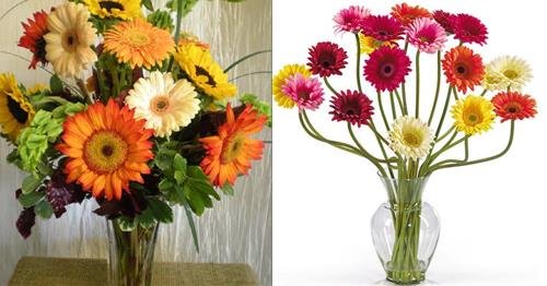 hoa dong tien hoa dong tien