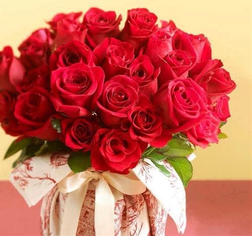 hoa hong do hoa hong do