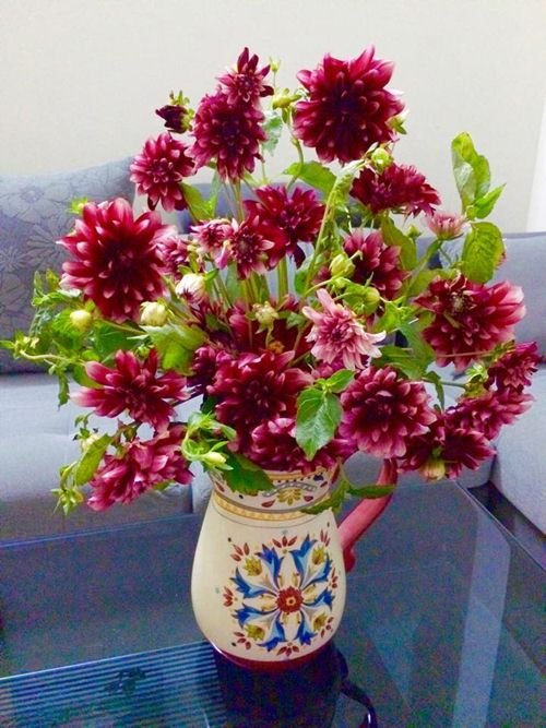 hoa thuoc duoc hoa thuoc duoc