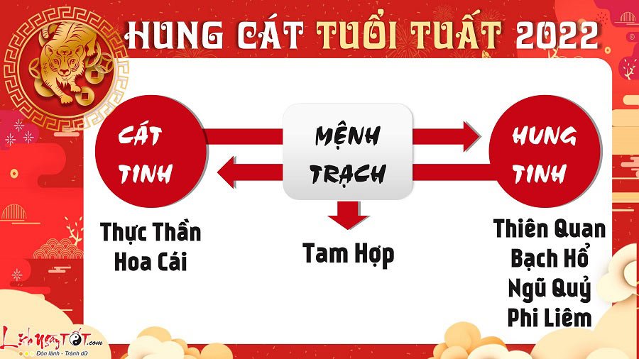 Hung cát tử vi năm 2022 tuổi Tuất Hung cat tu vi nam 2022 tuoi Tuat