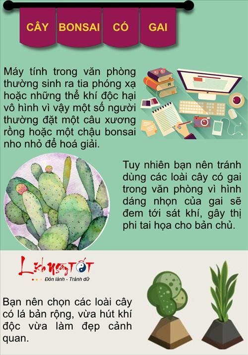 Infographic Những đồ vật tử hình sự nghiệp của bạn hình ảnh 2 Infographic Nhung do vat tu hinh su nghiep cua ban hinh anh 2