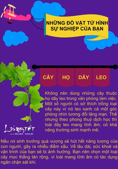 Infographic Những đồ vật tử hình sự nghiệp của bạn hình ảnh Infographic Nhung do vat tu hinh su nghiep cua ban hinh anh