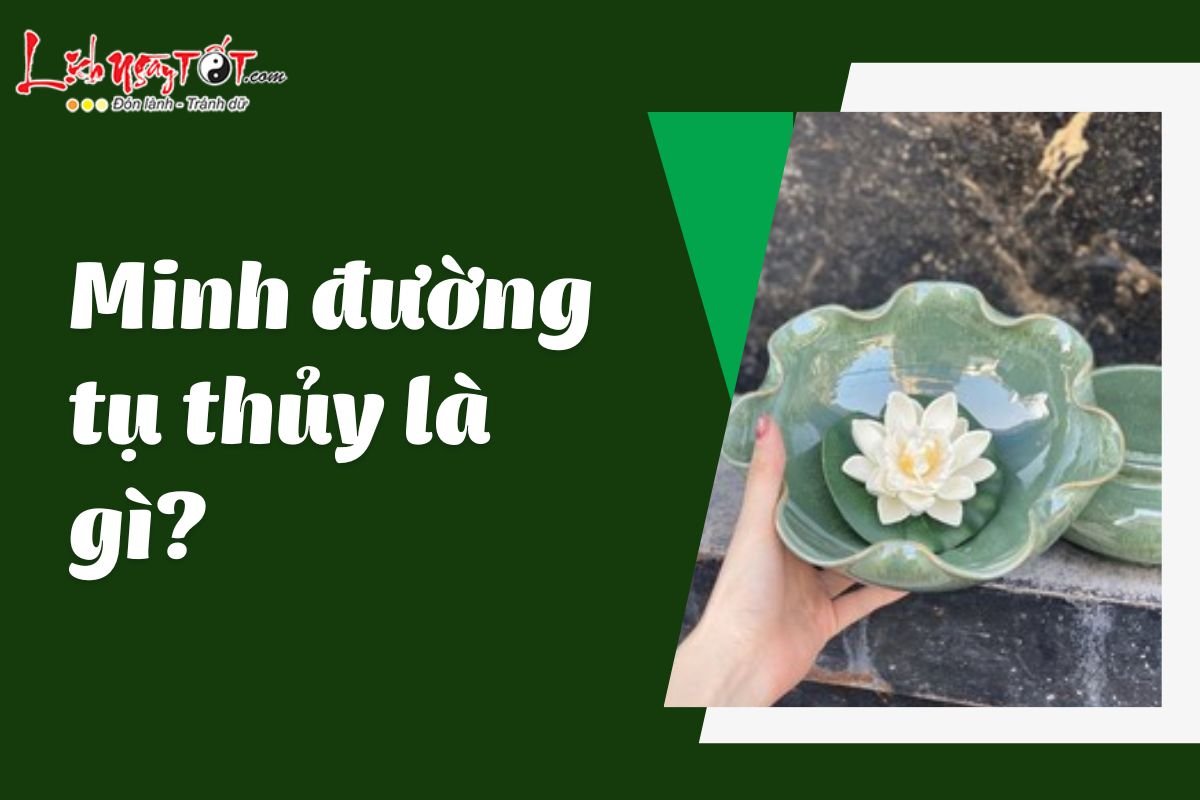 Khai niem minh duong tu thuy la gi