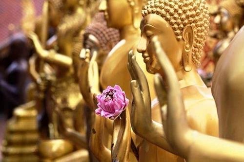 Lời Phật dạy về Ngũ dục Loi Phat day ve Ngu duc