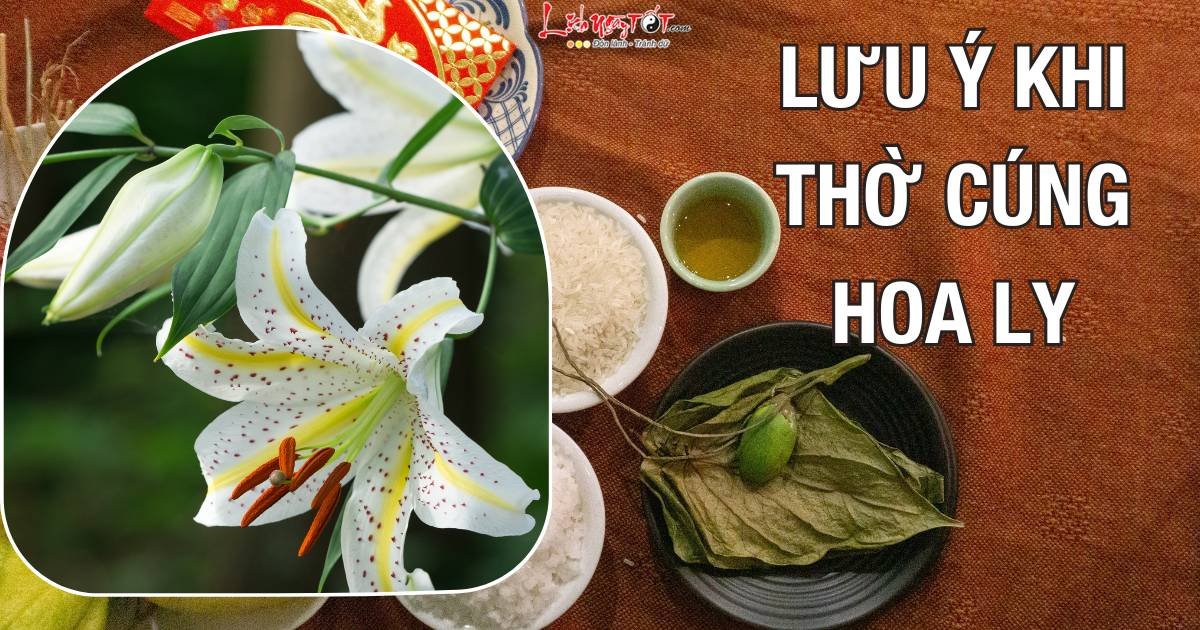 Luu y khi tho cung hoa ly