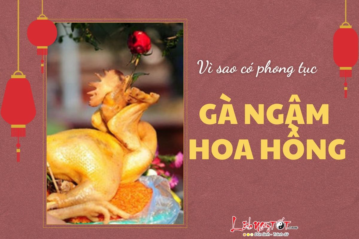 Ly do ga ngam hoa hong