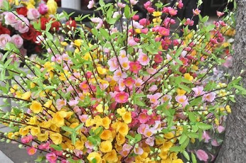 Mang toi bat kinh vi bay do gia tren ban tho hinh anh