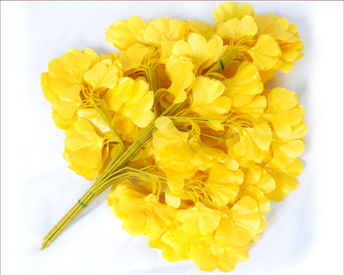 màu vàng vương tai loc mau vang vuong tai loc