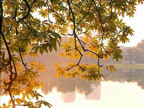 nam 2018 lap thu vao ngay nao