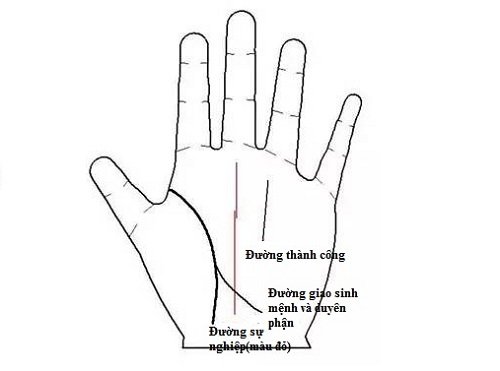 Nét tướng tay báo hiệu chủ nhân vượng vận đào hoa cả đời hình ảnh Net tuong tay bao hieu chu nhan vuong van dao hoa ca doi hinh anh