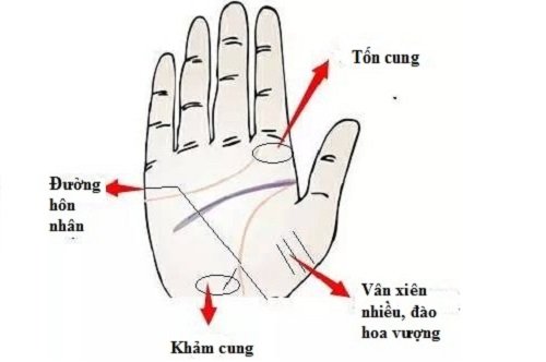 Nét tướng tay báo hiệu chủ nhân vượng vận đào hoa cả đời hình ảnh Net tuong tay bao hieu chu nhan vuong van dao hoa ca doi hinh anh