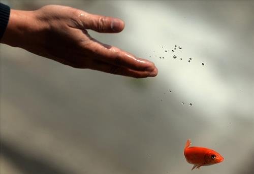 Phong sinh xuat phat tu tam