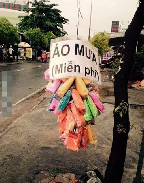 Những bức ảnh ấm lòng mùa mưa bão hình ảnh Nhung buc anh am long mua mua bao hinh anh