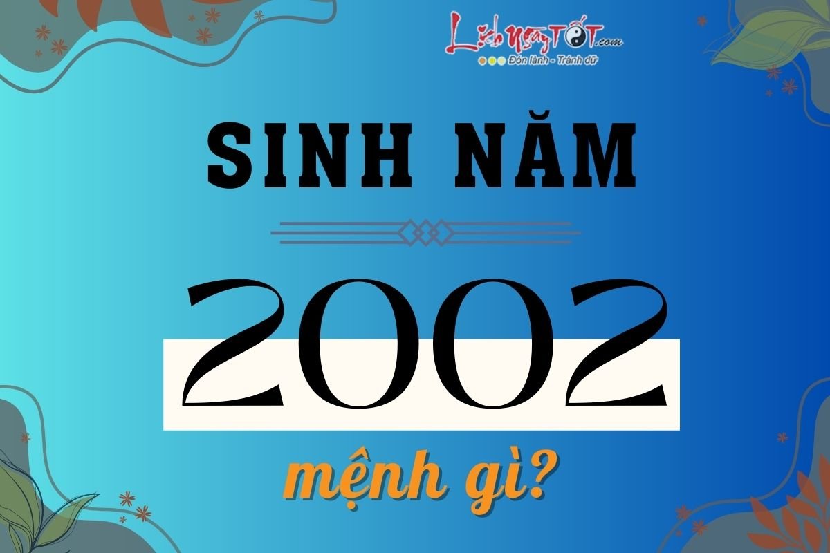 Sinh nam 2002 menh gi?