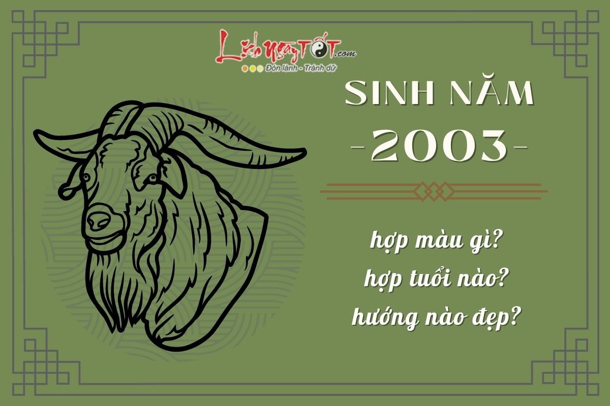 Sinh nam 2003 - Tuoi Quy Mui