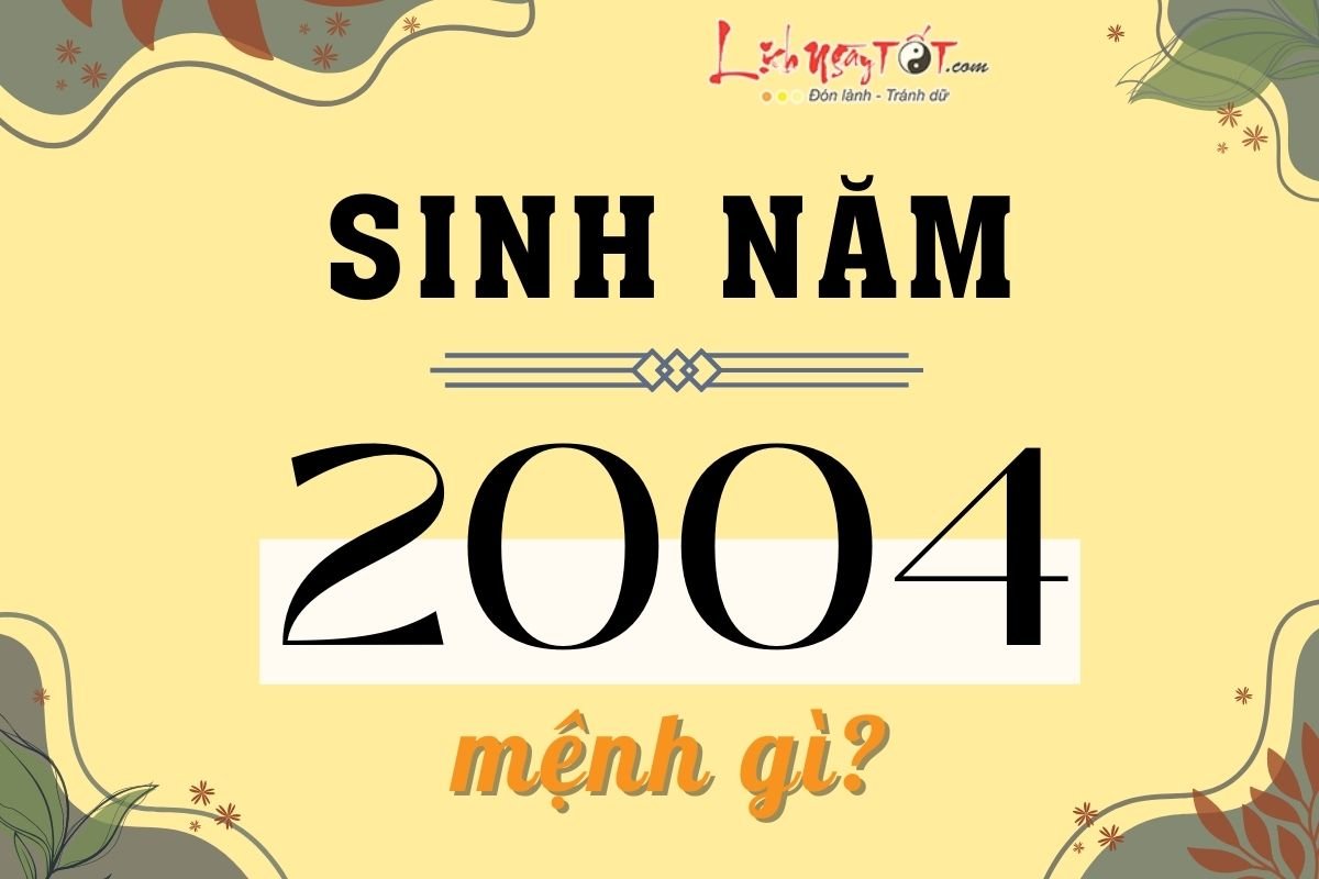 Sinh nam 2004 menh gi?